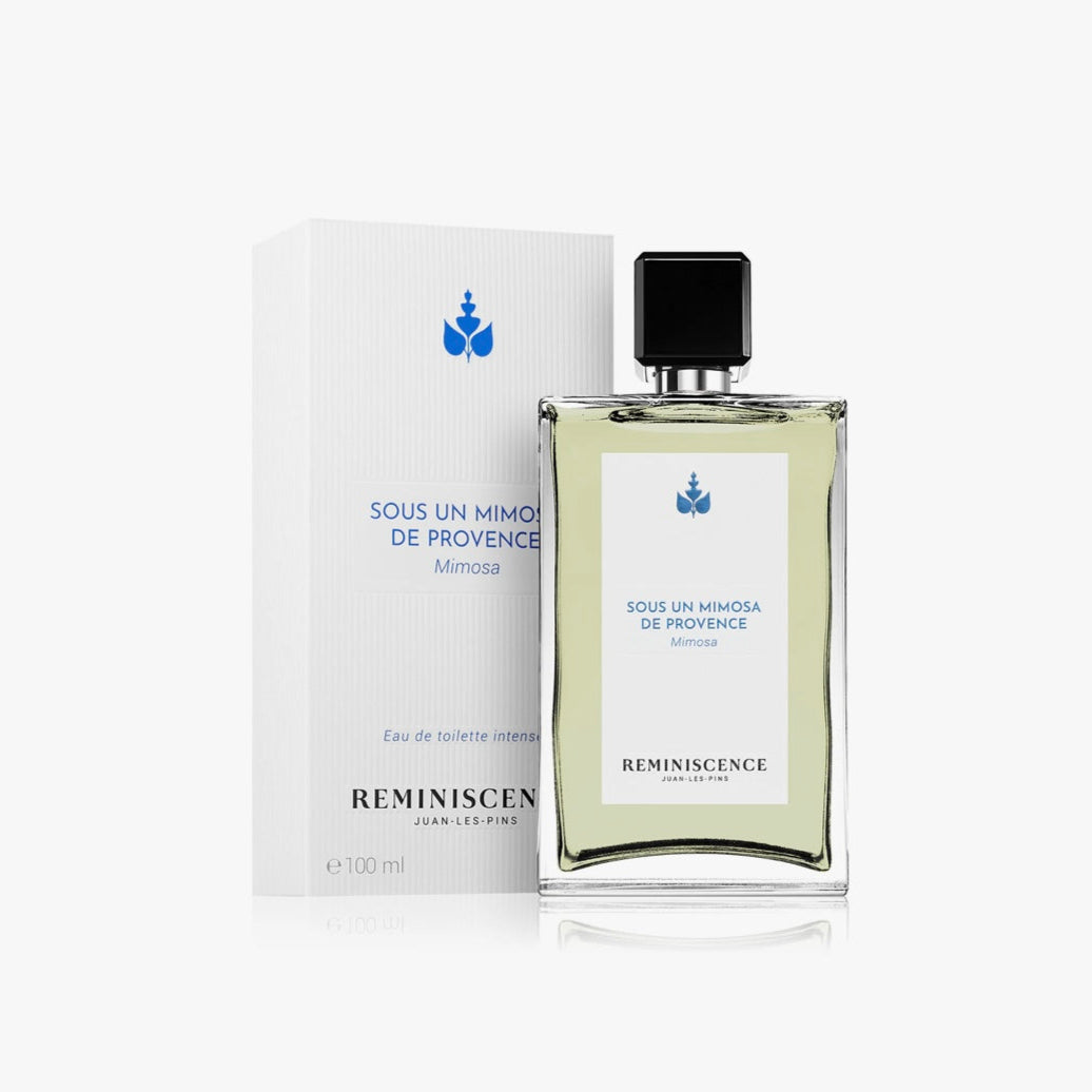 Sous un Mimosa de Provence