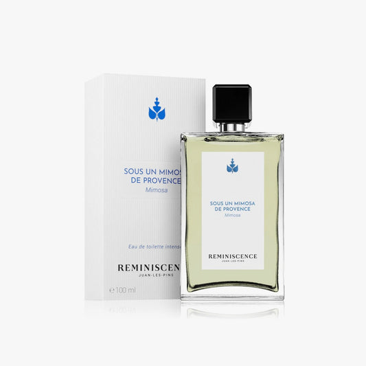 Sous un Mimosa de Provence