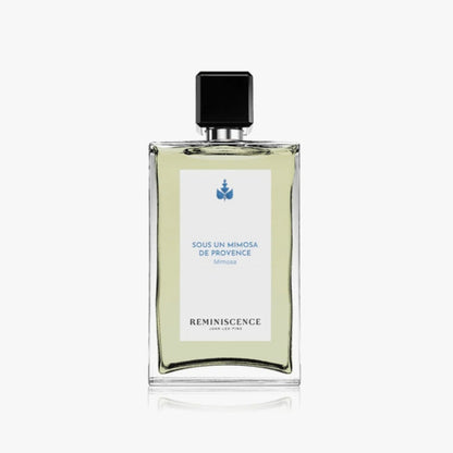 Sous un Mimosa de Provence