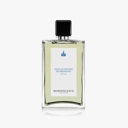 Sous un Mimosa de Provence